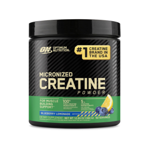 Optimum Nutrition Micronized Creatine Monohydrate Powder, Unflavored, 120 Servings, 600 Grams (Packaging May Vary)