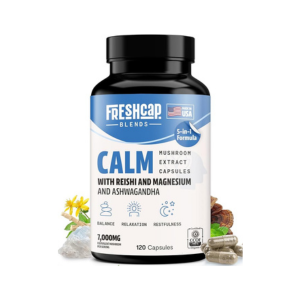 FreshCap 4-in-1 Focus Supplement – Brain Supplements for Memory and Focus – Memory Supplement for Brain, Brain Booster Supplement, Lions Mane Extract, Ayurveda Ginseng (120 Capsules)